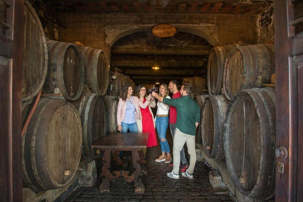 Centrico, Comodo Y Bello Apto En Puerto De La Cruz エクステリア 写真