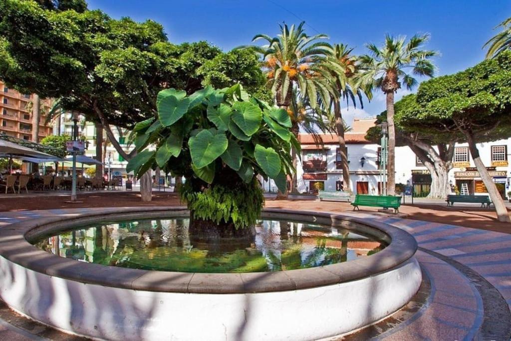 Centrico, Comodo Y Bello Apto En Puerto De La Cruz エクステリア 写真
